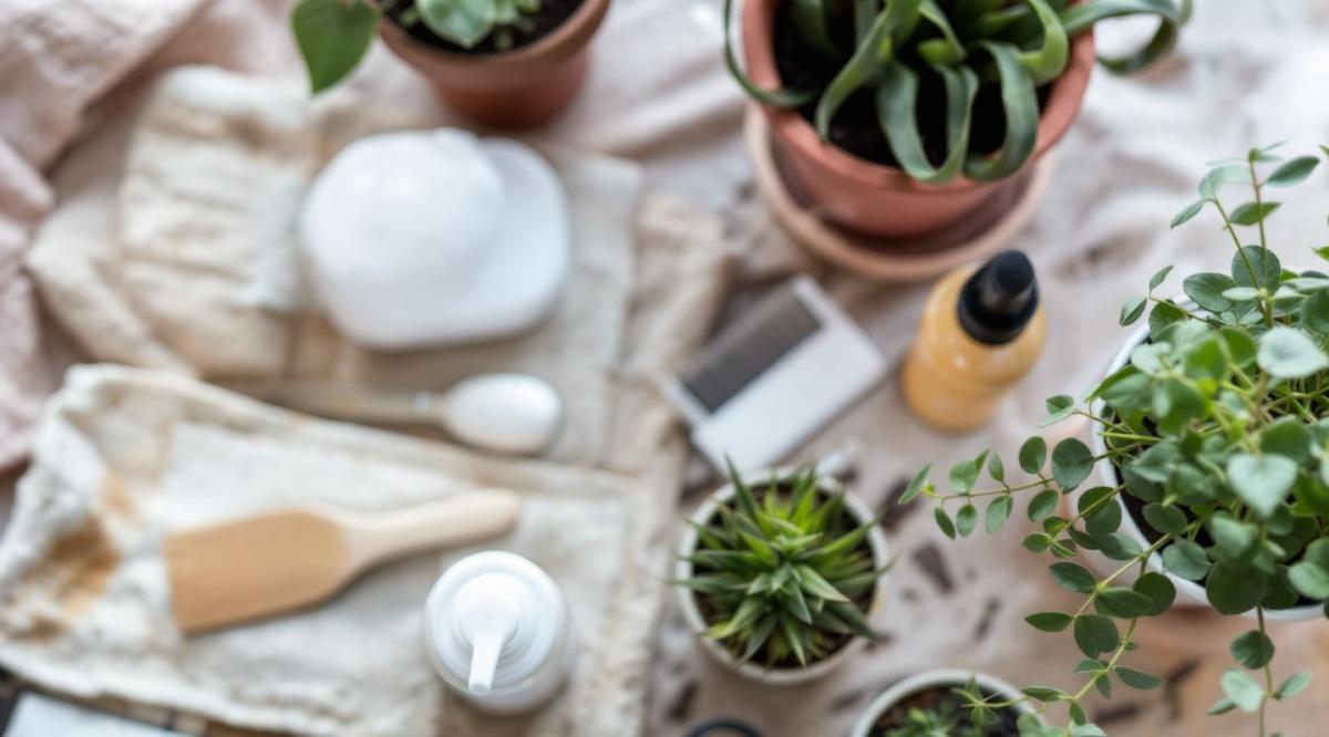 Faire son ménage sans produit jetable : mes astuces testées